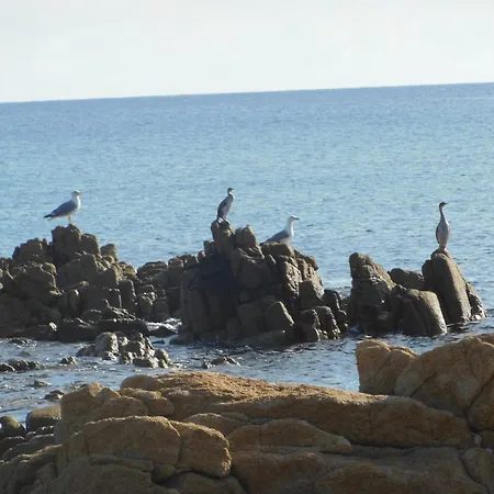 Lo Scoglietto Lägenhet Cala Liberotto